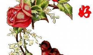 5月20日算不算情人节