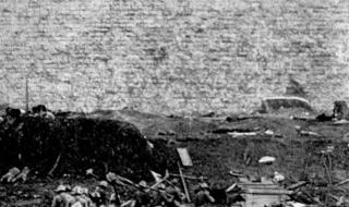 1937年南京妇女有多惨