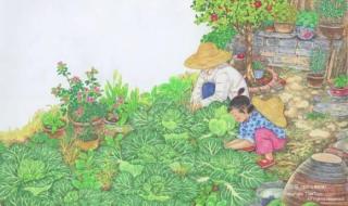 祖父的园子课堂笔记